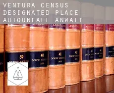 Ventura  Autounfall Anwalt