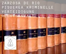 Zarzosa de Río Pisuerga  kriminelle verteidigung rechtsanwalt