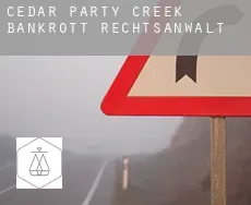 Cedar Party Creek  bankrott rechtsanwalt