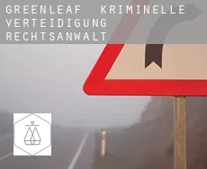 Greenleaf  kriminelle verteidigung rechtsanwalt