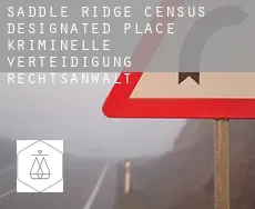 Saddle Ridge  kriminelle verteidigung rechtsanwalt