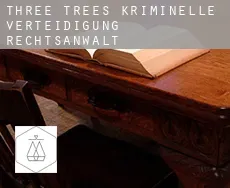 Three Trees  kriminelle verteidigung rechtsanwalt