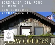 Gordaliza del Pino  kriminelle verteidigung rechtsanwalt