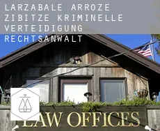 Larceveau-Arros-Cibits  kriminelle verteidigung rechtsanwalt