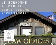 Le Bonhomme  kriminelle verteidigung rechtsanwalt