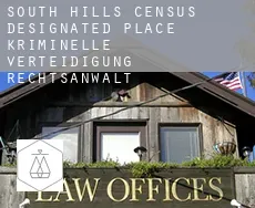 South Hills kriminelle verteidigung rechtsanwalt