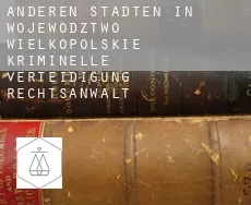Anderen Städten in Wojewodztwo Wielkopolskie  kriminelle verteidigung rechtsanwalt