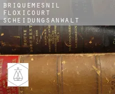 Briquemesnil-Floxicourt  Scheidungsanwalt