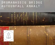 Dromanassig Bridge  Autounfall Anwalt