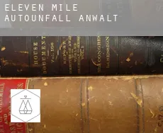 Eleven Mile  Autounfall Anwalt