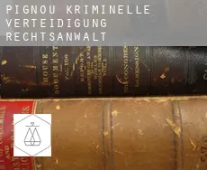 Pignou  kriminelle verteidigung rechtsanwalt