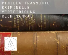 Pinilla Trasmonte  kriminelle verteidigung rechtsanwalt