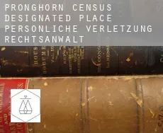 Pronghorn  persönliche verletzung rechtsanwalt