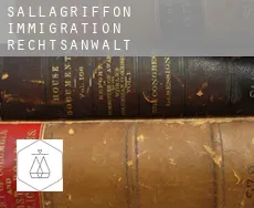 Sallagriffon  immigration rechtsanwalt