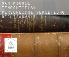 San Miguel Tenochtitlán  persönliche verletzung rechtsanwalt