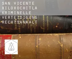 San Vicente Xiloxochitla kriminelle verteidigung rechtsanwalt