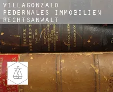 Villagonzalo-Pedernales  immobilien rechtsanwalt