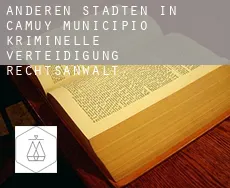Anderen Städten in Camuy Municipio  kriminelle verteidigung rechtsanwalt