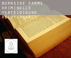 Burnside Farms  kriminelle verteidigung rechtsanwalt