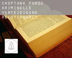 Choptank Ponds kriminelle verteidigung rechtsanwalt