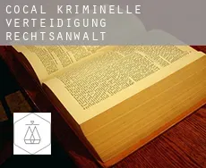 Cocal kriminelle verteidigung rechtsanwalt
