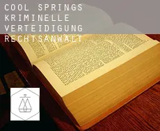 Cool Springs  kriminelle verteidigung rechtsanwalt