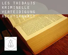 Les Thibauts  kriminelle verteidigung rechtsanwalt