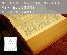 Mühlenberg  kriminelle verteidigung rechtsanwalt
