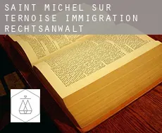 Saint-Michel-sur-Ternoise  immigration rechtsanwalt