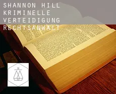 Shannon Hill  kriminelle verteidigung rechtsanwalt