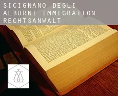 Sicignano degli Alburni  immigration rechtsanwalt