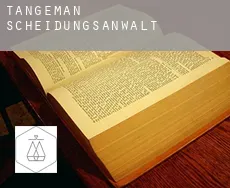 Tangeman  Scheidungsanwalt