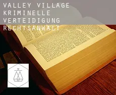 Valley Village  kriminelle verteidigung rechtsanwalt