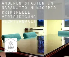 Anderen Städten in Naranjito Municipio  kriminelle verteidigung rechtsanwalt
