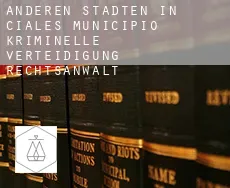Anderen Städten in Ciales Municipio  kriminelle verteidigung rechtsanwalt