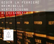 Ozoir-la-Ferrière  kriminelle verteidigung rechtsanwalt