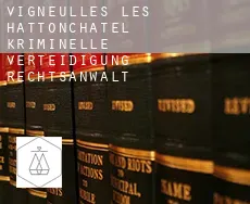 Vigneulles-lès-Hattonchâtel  kriminelle verteidigung rechtsanwalt