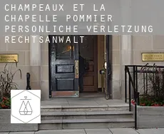 Champeaux-et-la-Chapelle-Pommier  persönliche verletzung rechtsanwalt