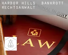 Harbor Hills  bankrott rechtsanwalt