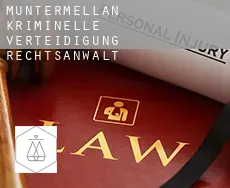 Muntermellan  kriminelle verteidigung rechtsanwalt
