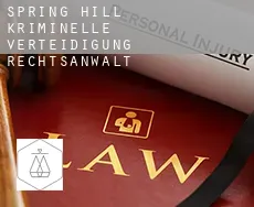 Spring Hill kriminelle verteidigung rechtsanwalt