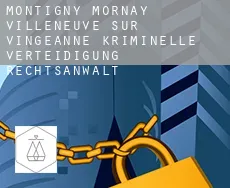 Montigny-Mornay-Villeneuve-sur-Vingeanne kriminelle verteidigung rechtsanwalt