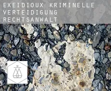 Exeidioux  kriminelle verteidigung rechtsanwalt