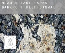 Meadow Lane Farms bankrott rechtsanwalt