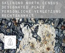Salineno North persönliche verletzung rechtsanwalt
