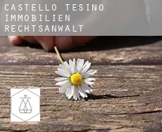 Castello Tesino immobilien rechtsanwalt