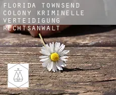 Florida Townsend Colony  kriminelle verteidigung rechtsanwalt