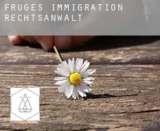 Fruges  immigration rechtsanwalt