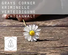 Grays Corner  kriminelle verteidigung rechtsanwalt
