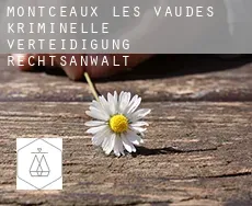 Montceaux-lès-Vaudes  kriminelle verteidigung rechtsanwalt